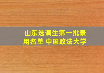 山东选调生第一批录用名单 中国政法大学